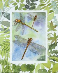 Dragonfly II by Lucy Davies