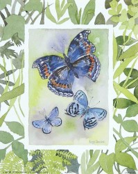 Butterfly II by Lucy Davies