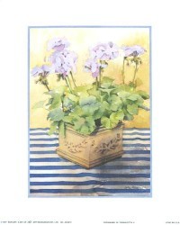Geraniums in Terracotta II by Julia Rowntree