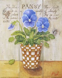 The Blue Pansy by Mid Gordon