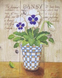 The Summer Pansy by Mid Gordon