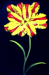 Tulip Fantasy II by Joson