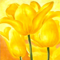 Golden Tulips by Susanne Bach