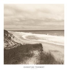 Wellfleet Dune  by Christine Triebert