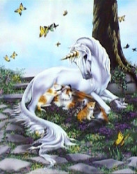 Finding a Safe Place by Sue Dawe