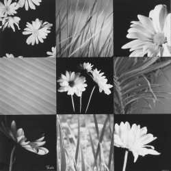 Modern Interpetation I by Katrina Craven