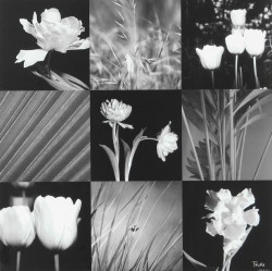 Modern Interpetation II