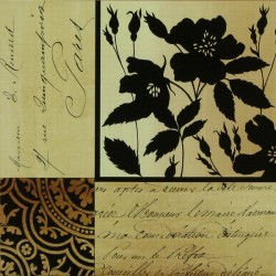 Noir Et Creme II by Gillian Fullard