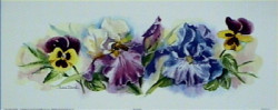 Iris & Pansy by Andrea Brooks