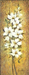 Magnolia Enchantement I
