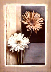 Together by Tamara Ross