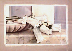 Bell Flowers by Tamara Ross