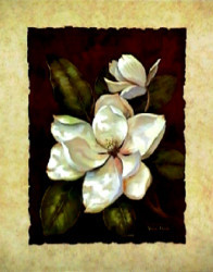 Magnolia Dream II by Vivian Flasch