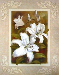 Lillies