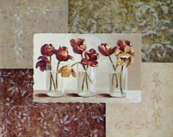 Tulip Trio by Vivian Flasch