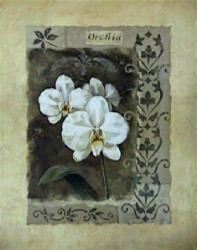 White Orchids by Vivian Flasch