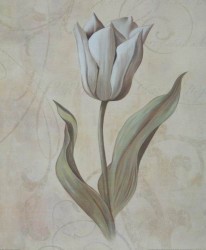 Tulip by Virginia Huntingwood