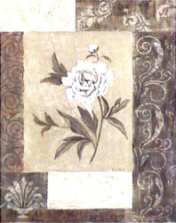 Single Peony by Vivian Flasch