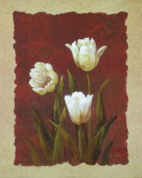 White Splendor II by Vivian Flasch