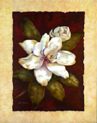 Magnolia Dream I by Vivian Flasch