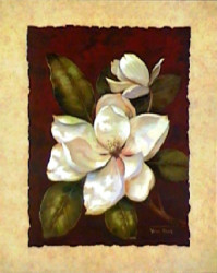 Magnolia Dream II by Vivian Flasch