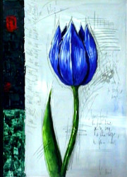 Blue Tulip by Vincent Mond