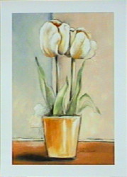 White Tulips by Vitor Vivaldi