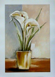 White Callas by Vitor Vivaldi