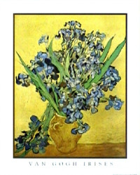 Irises by Vincent Van Gogh