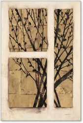 Monochrome Blossom by Fiona Anderson