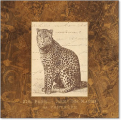 Panther by Jardin des Plantes