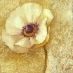 Brocade Poppy by Albena Hristova