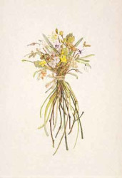 January Possy by Helga Hislop