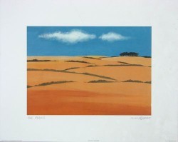 The Plains by M Wiscombe