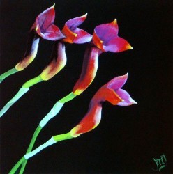 Orchidee de chocolat I by Janet Wilson