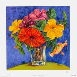 Hibiscus in Glass Vase by Wendy Wooden