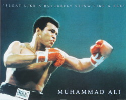 Float Like A Butterfly