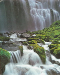 Proxy Falls by Oregon