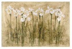 Floating On Air by B.J.Zhang