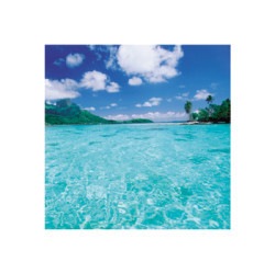 Paradise I by Unknown