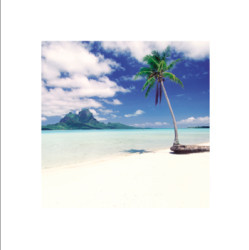 Paradise III by Unknown