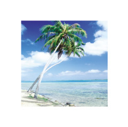 Paradise IV by Unknown