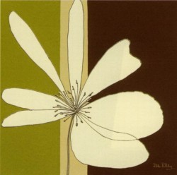 Cream Flower Burst by Debbie Halliday