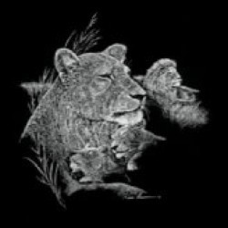 Pride & Joy by Ruane Manning