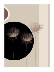 3 Dandelions On Black Circle by Jo Parry