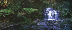 Liffey Falls by Ken Duncan