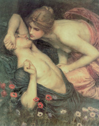 Awakening of Adonis by John W Waterhouse