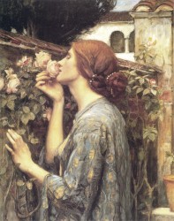 Sweet Rose by John W Waterhouse