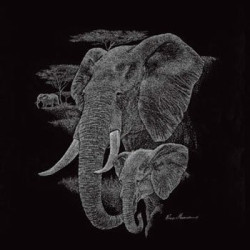 Touch Of Security by Ruane Manning