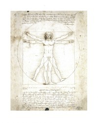 Vitravian Man by Leonardo da Vinci